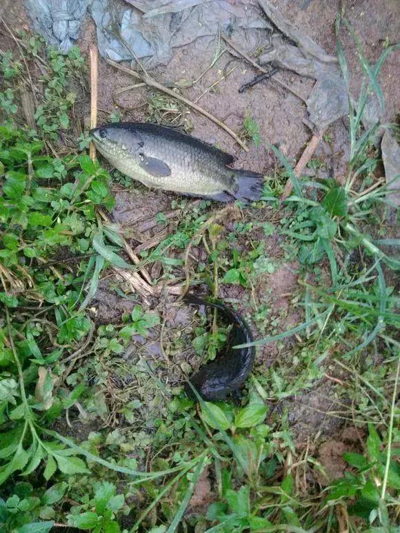 江西，家的故事与温馨日常