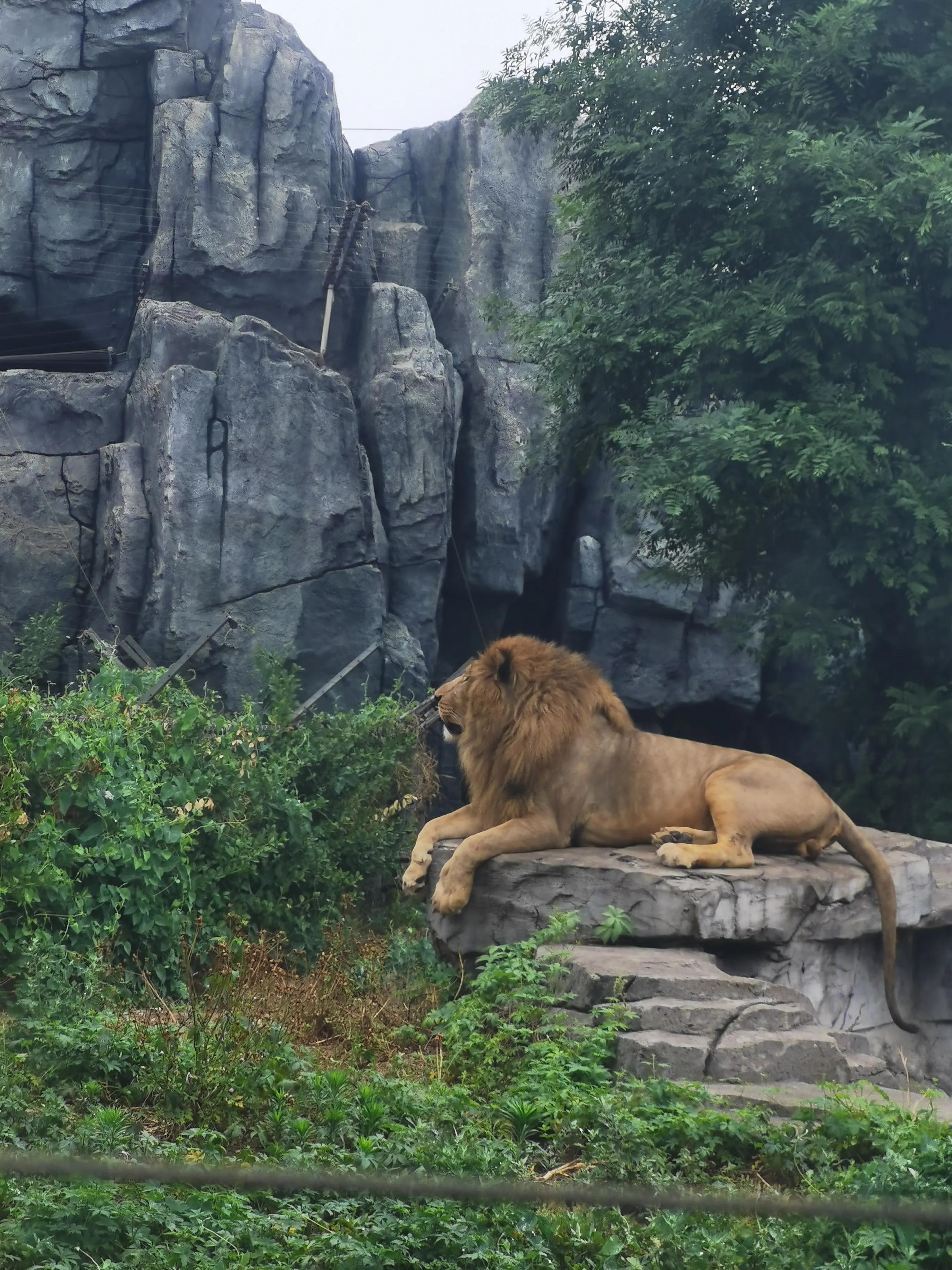 历史与现代辉映的唐山新篇章